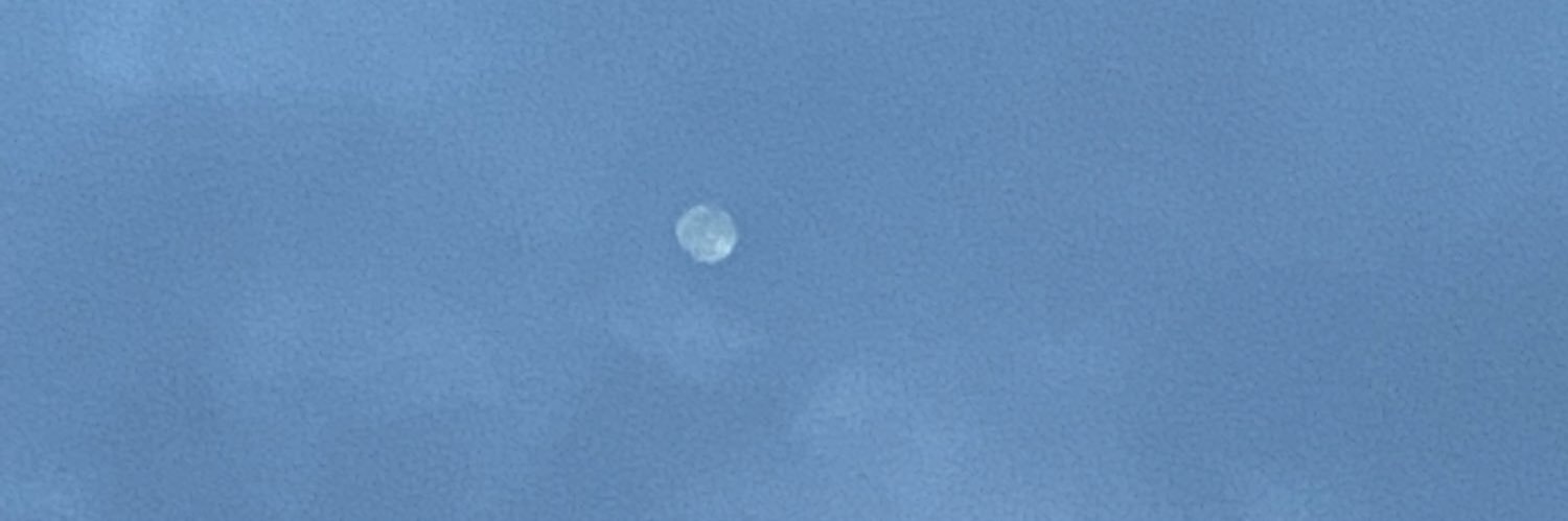 MoiraEGeorge's profile banner image