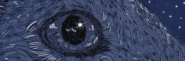 lizormian Profile Banner