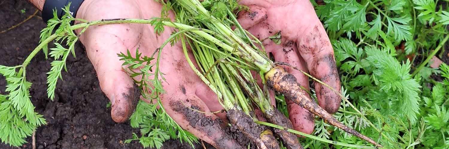 Shaune V. Hall banner