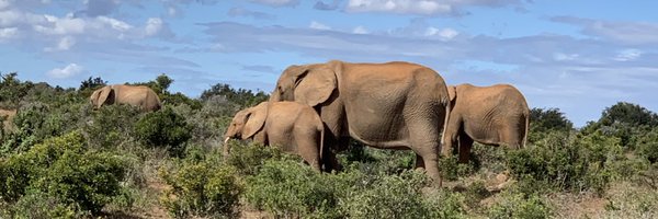 KathThom0987 Profile Banner