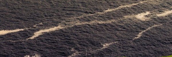 Kasstano Profile Banner