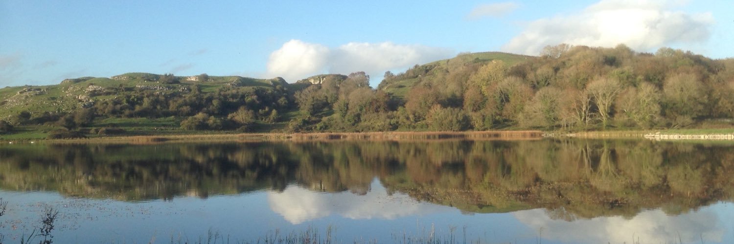 James de Boisanger banner