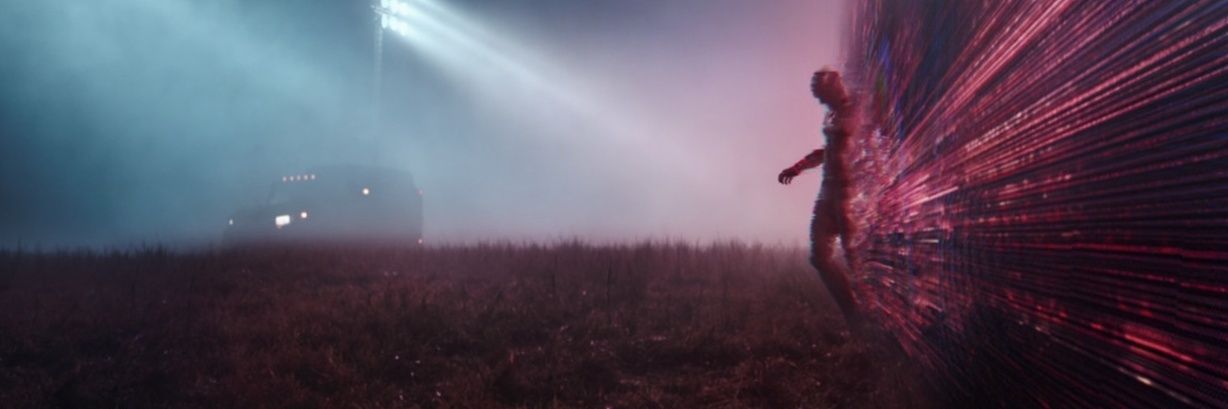 david 🍃 banner