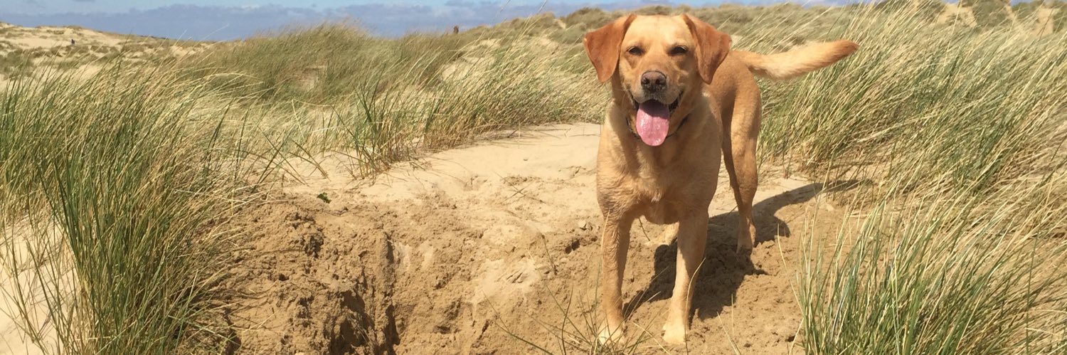 Pentatonic64's profile banner image