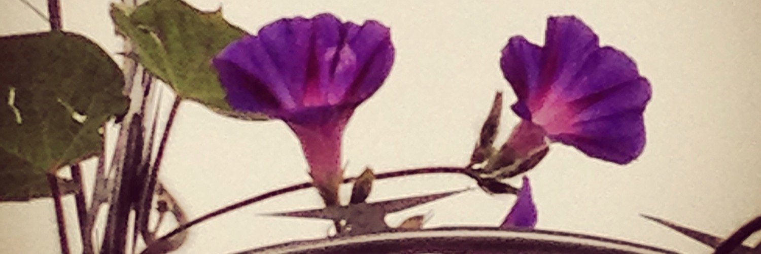avedisphilly's profile banner image