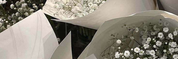 n. banner
