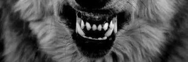 TheCryptoGypsy1 Profile Banner