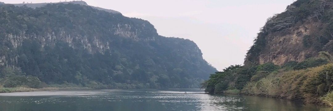 Riley Freeman banner