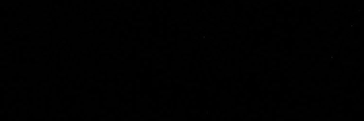 florpelozo's profile banner image