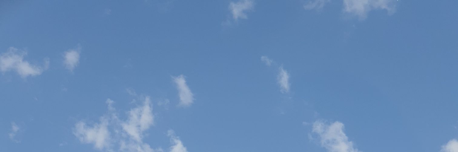 Almona1444's profile banner image