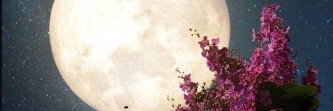 غنى القلادة's banner