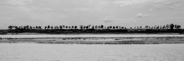 trenthead Profile Banner