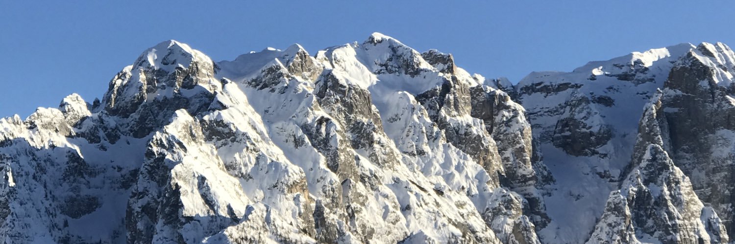 Frieda Brioschi banner