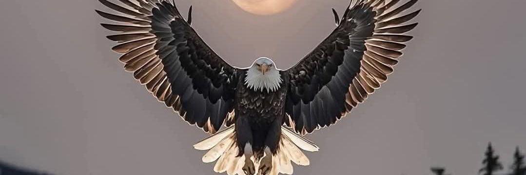 aydnzaga's profile banner image