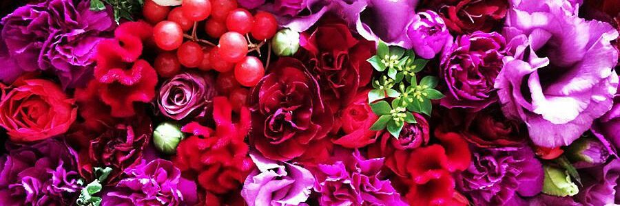 mayumix1981's profile banner image