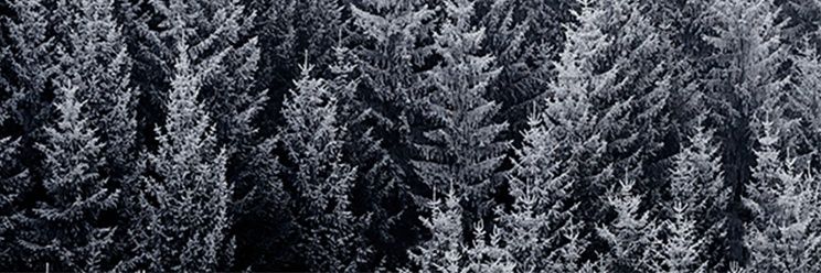 Guille_lopez85's profile banner image