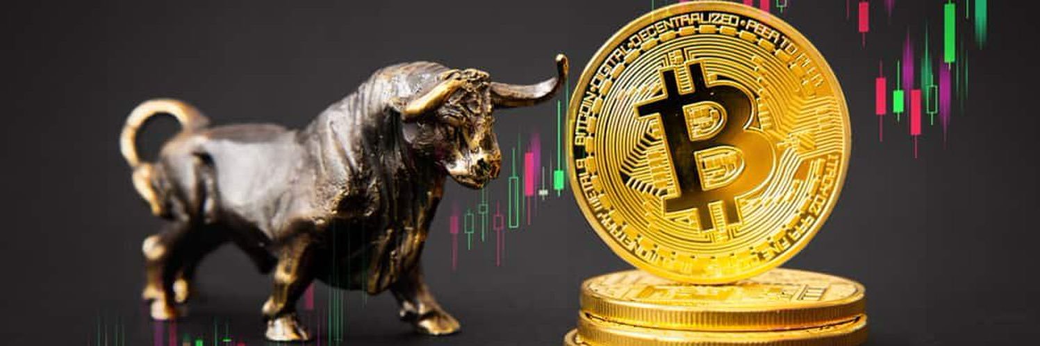 Ayham Mardini banner