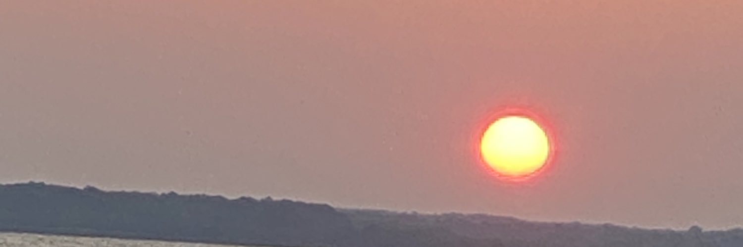 nehon banner