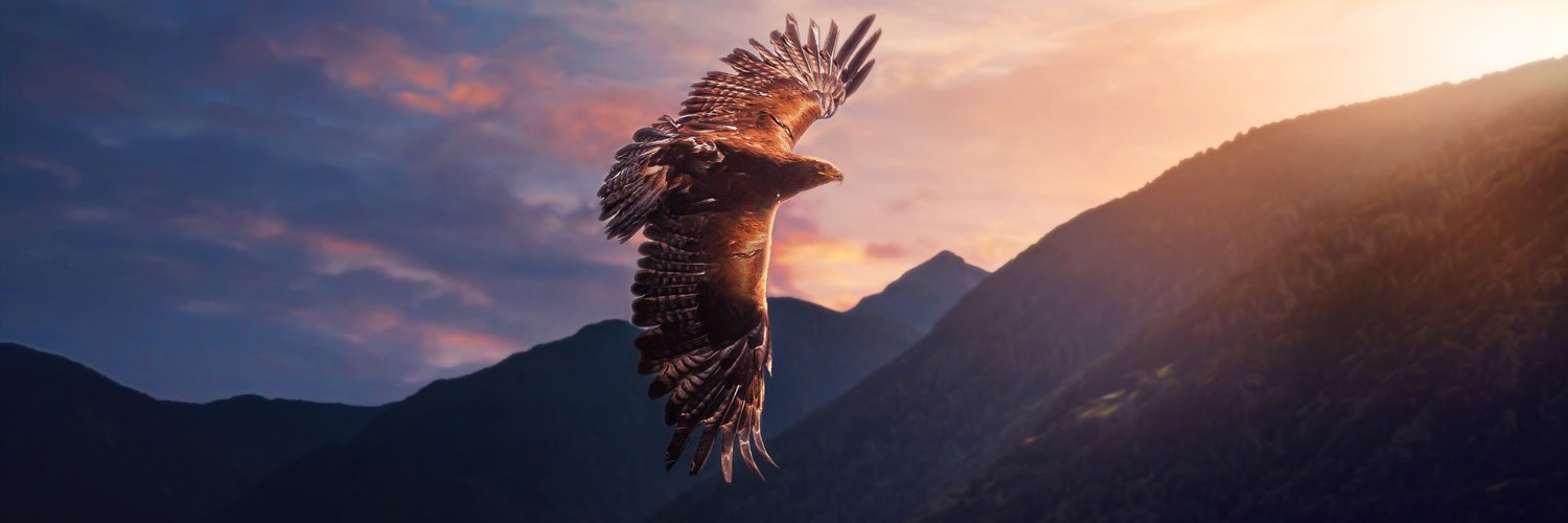 Eagle of Decade banner