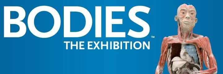 bodiesexhibit's profile banner image