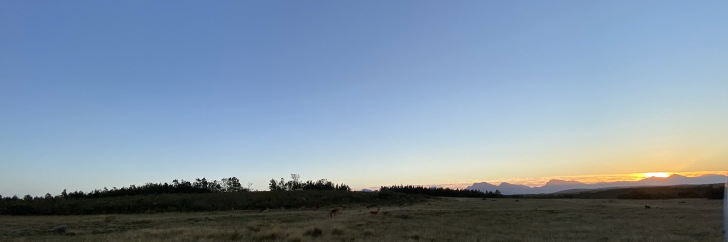 Rob Stokes ⚡ banner