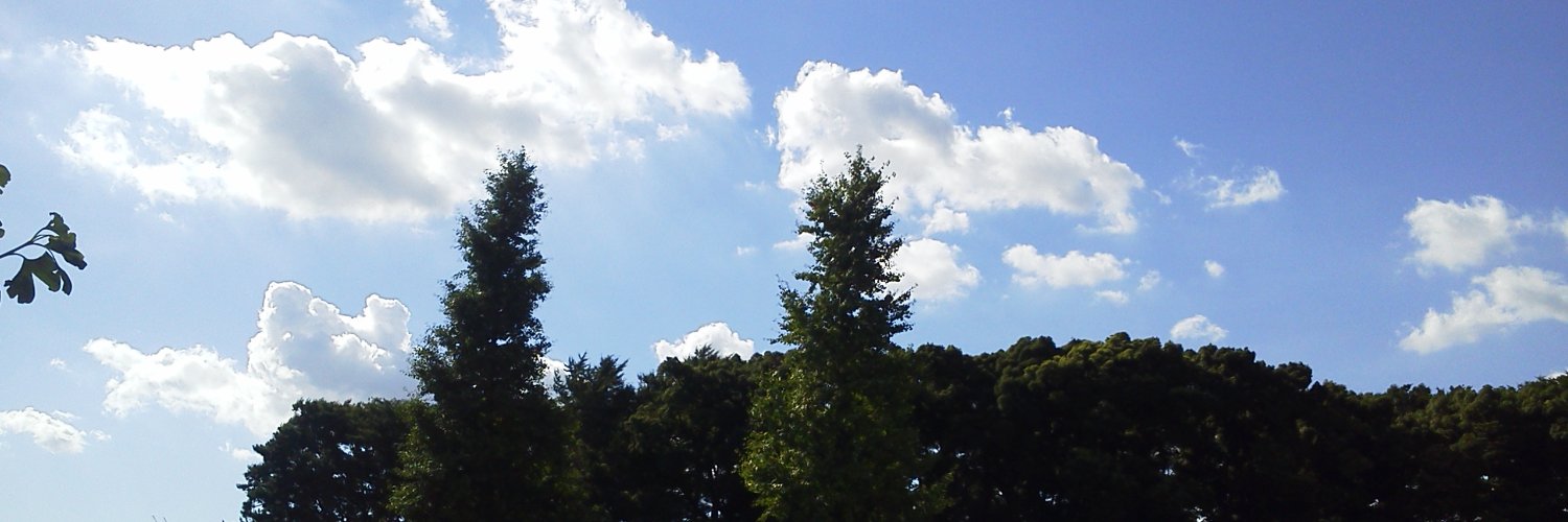 m_squirrel28's profile banner image