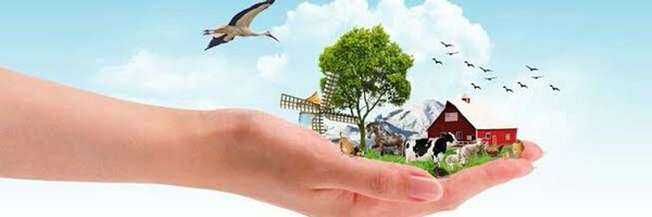 TripKeya Profile Banner