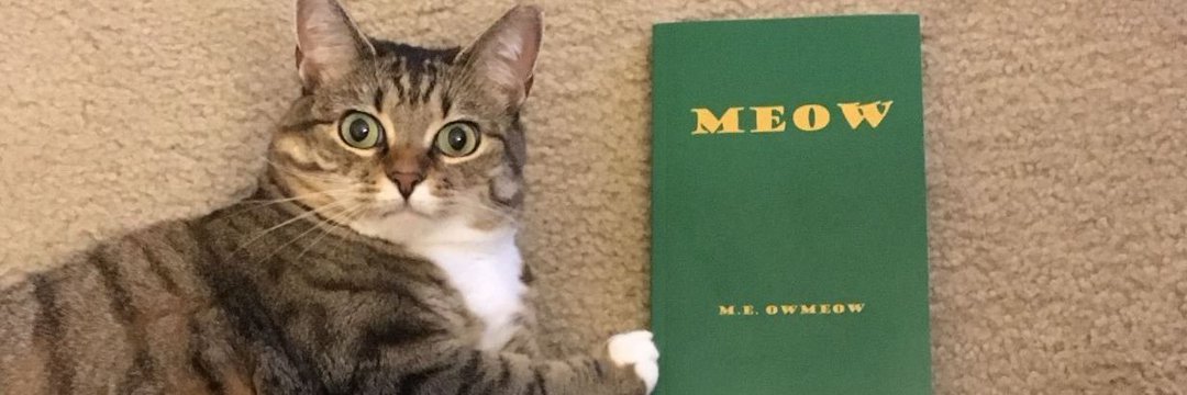 moolicz's profile banner image