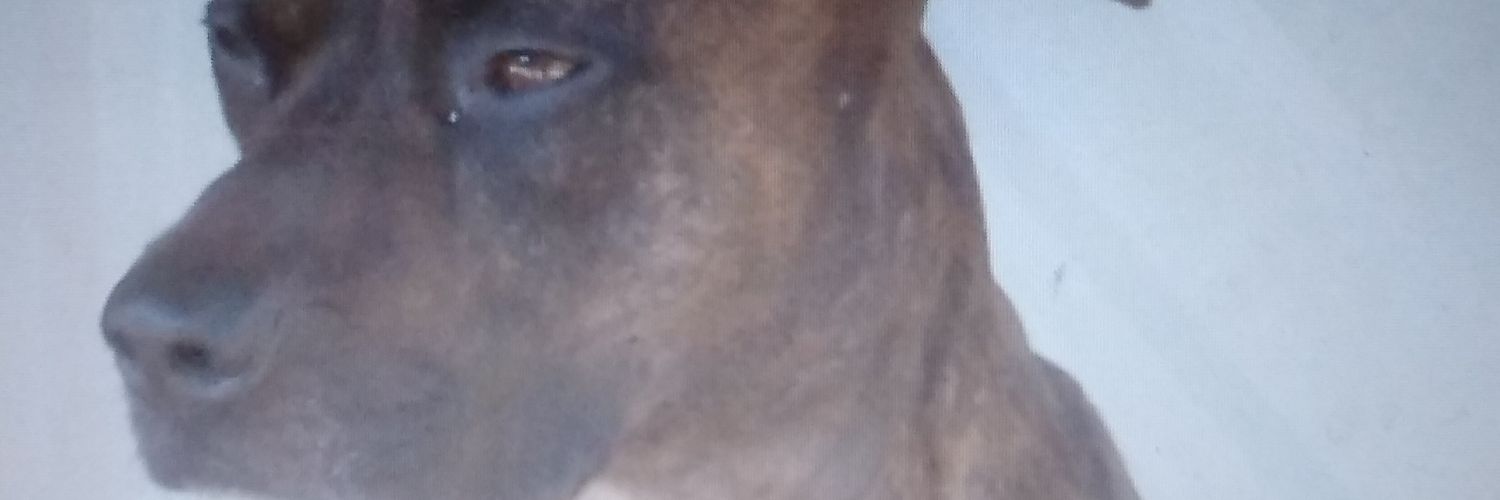 Pushthekush🍄🍄✊'s banner