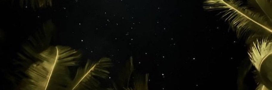 sa_4_5's profile banner image
