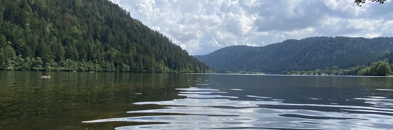 Emmanuel Lecomte banner