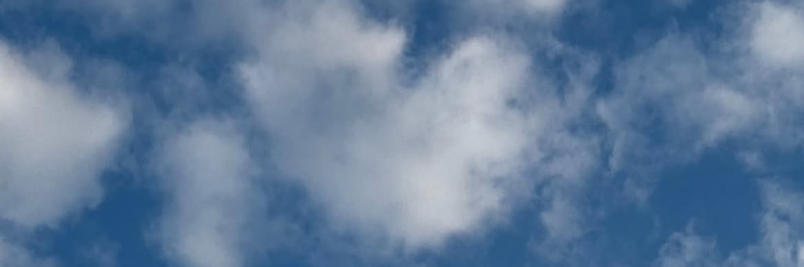 m banner