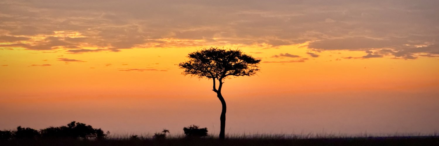 Luke David 🇺🇸 banner