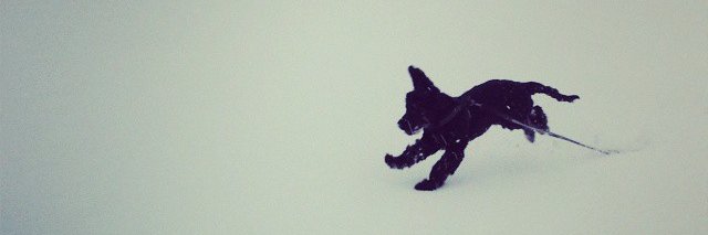 Jon R. Hammerfjeld banner