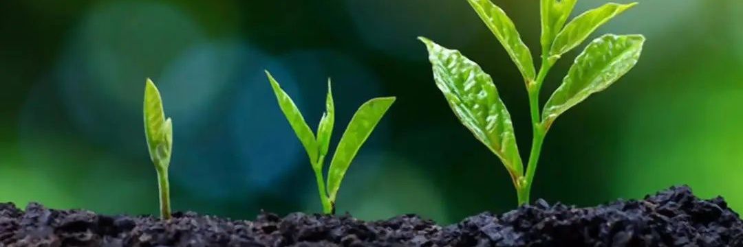 فاطمی ام banner