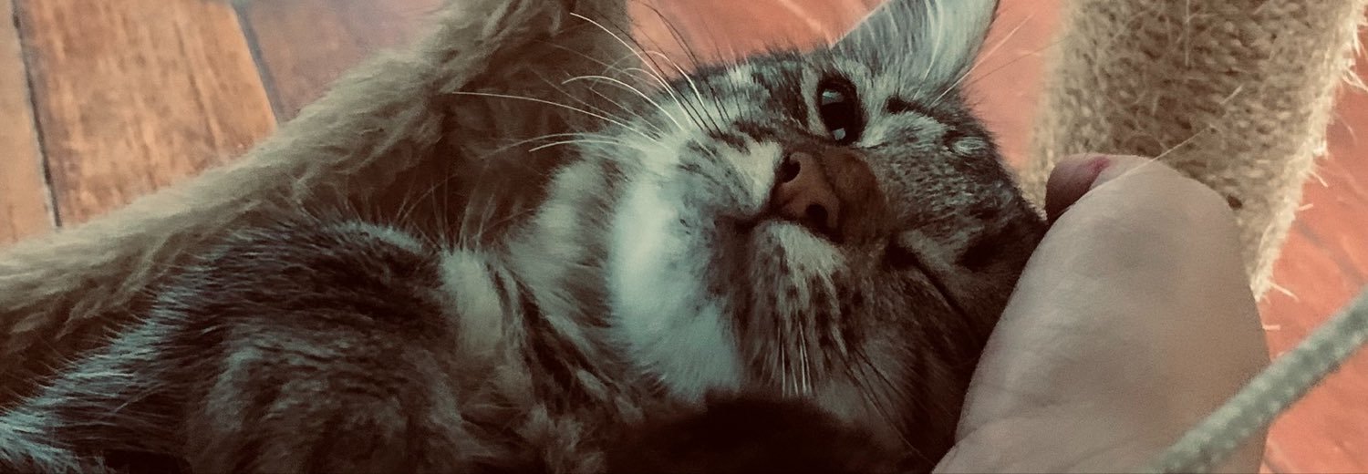 isabellymz_'s profile banner image