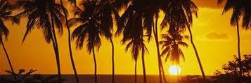 Izzyvegapr's profile banner image