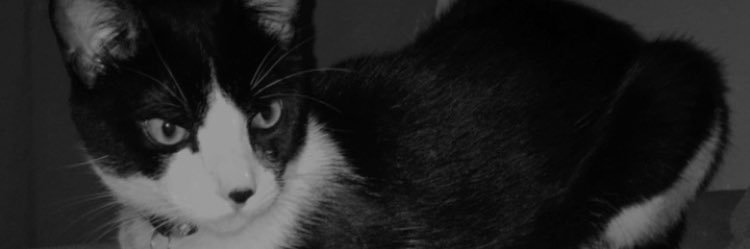 laryssaa_d's profile banner image