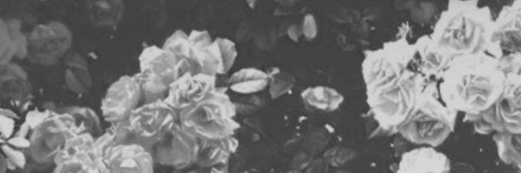arnarsd's profile banner image
