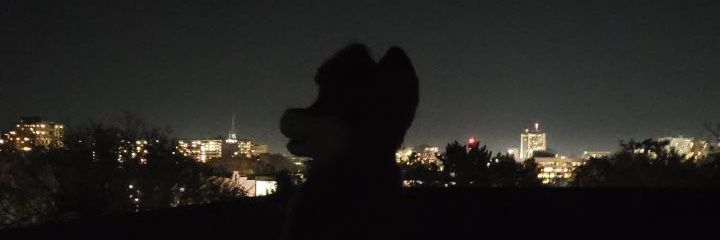 Astus in School banner