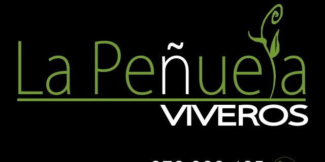 PazRodas's profile banner image