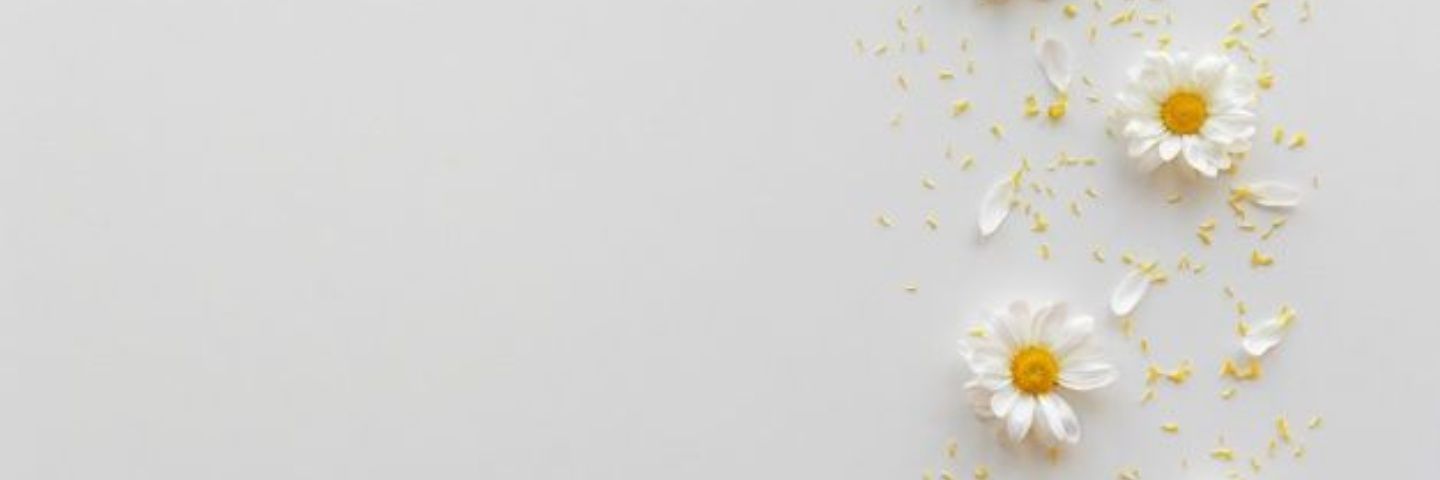 mew8113's profile banner image