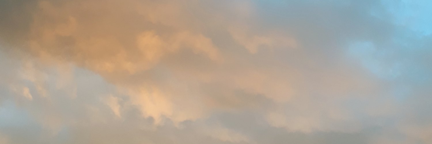 RealBarbBee's profile banner image
