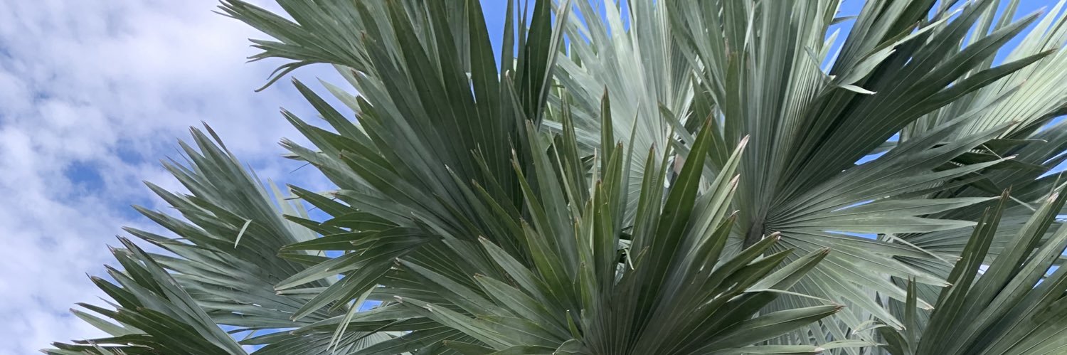 203Tre_'s profile banner image