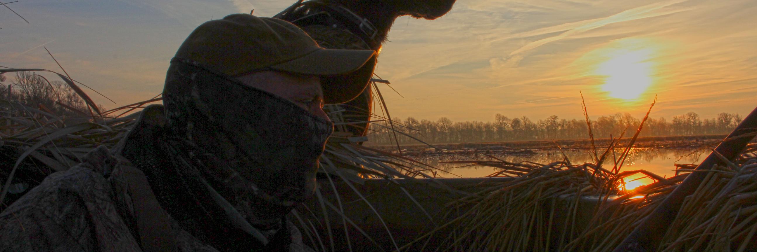 robsnell's profile banner image
