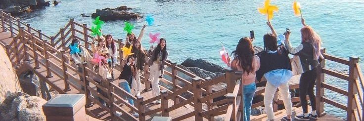 1029__duck's profile banner image