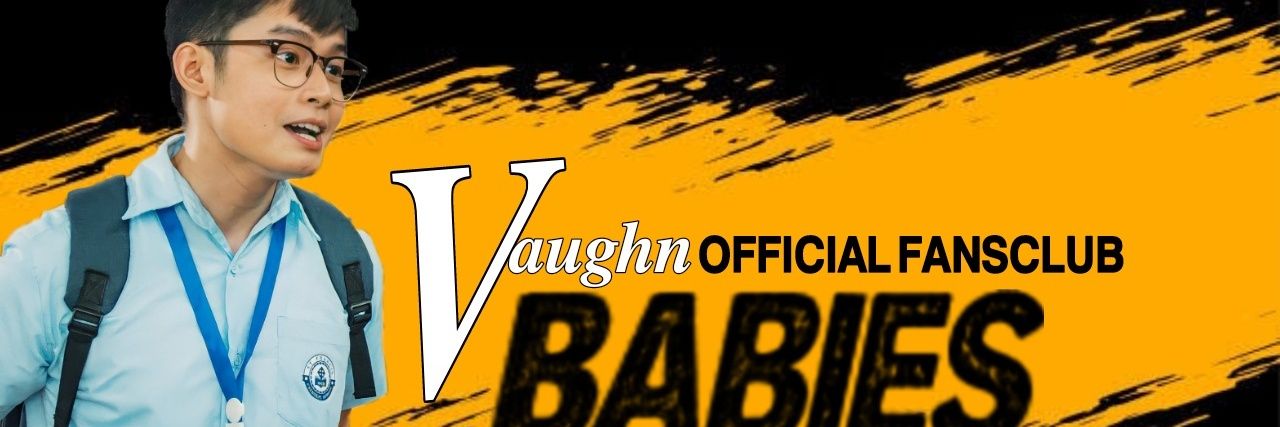 Vaughn Babies Official banner
