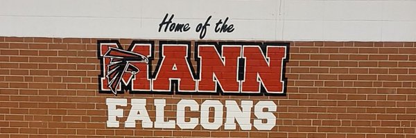 falcon_mann Profile Banner