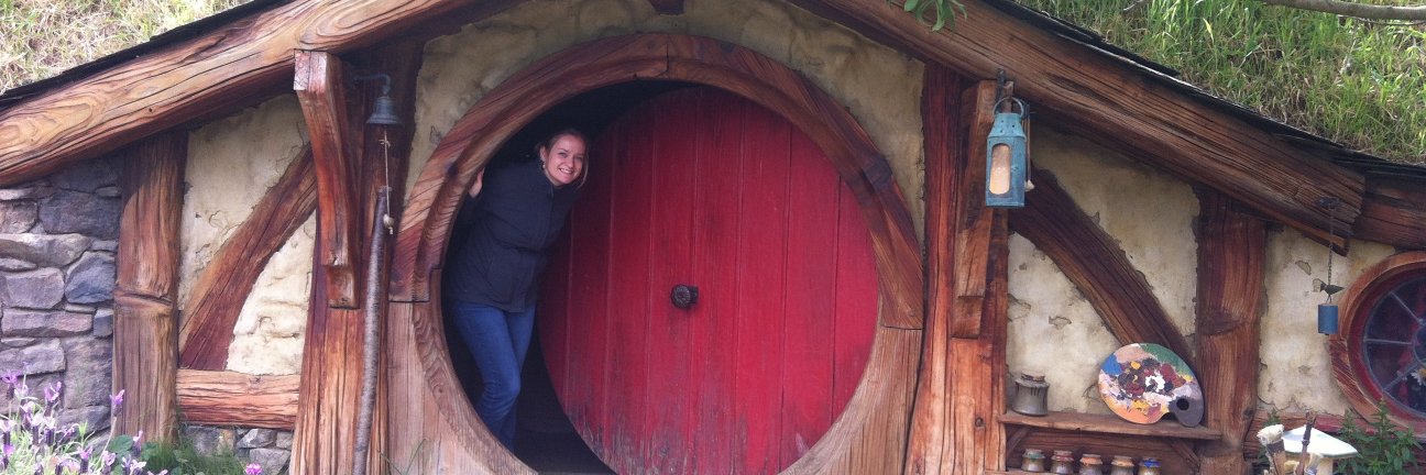 Dr Terhi Nurmikko-Fuller banner