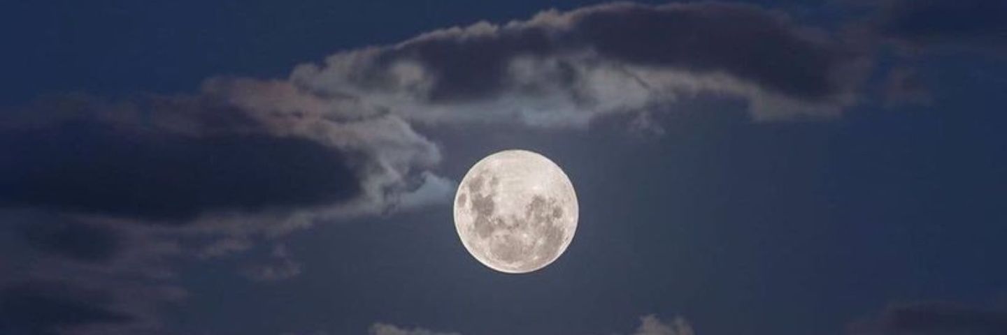 SpinThisTweet 🇵🇸✌🏾 banner